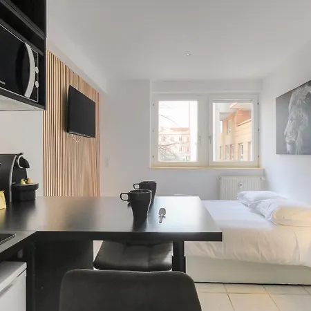 Appartement Lionne-stade Du Lou *
